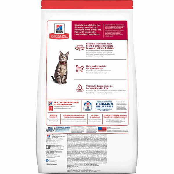 Adult Dry Cat Food Chicken 667b53001e3d3